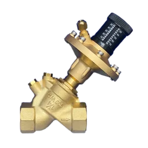 Differential Pressure Valve