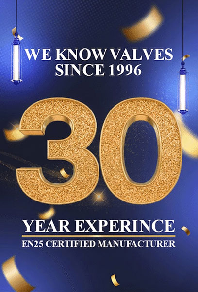 30 years experiences on valve